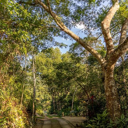 La Luciole Ecolodge Araquari Dış mekan fotoğraf