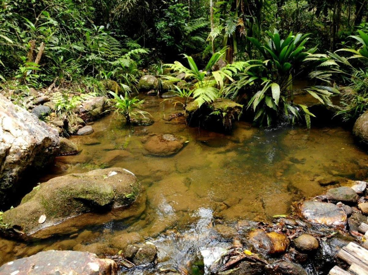 La Luciole Ecolodge Araquari Dış mekan fotoğraf