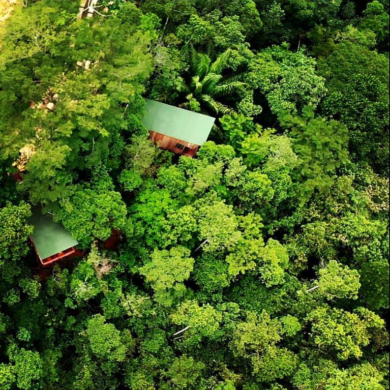 La Luciole Ecolodge Araquari Dış mekan fotoğraf