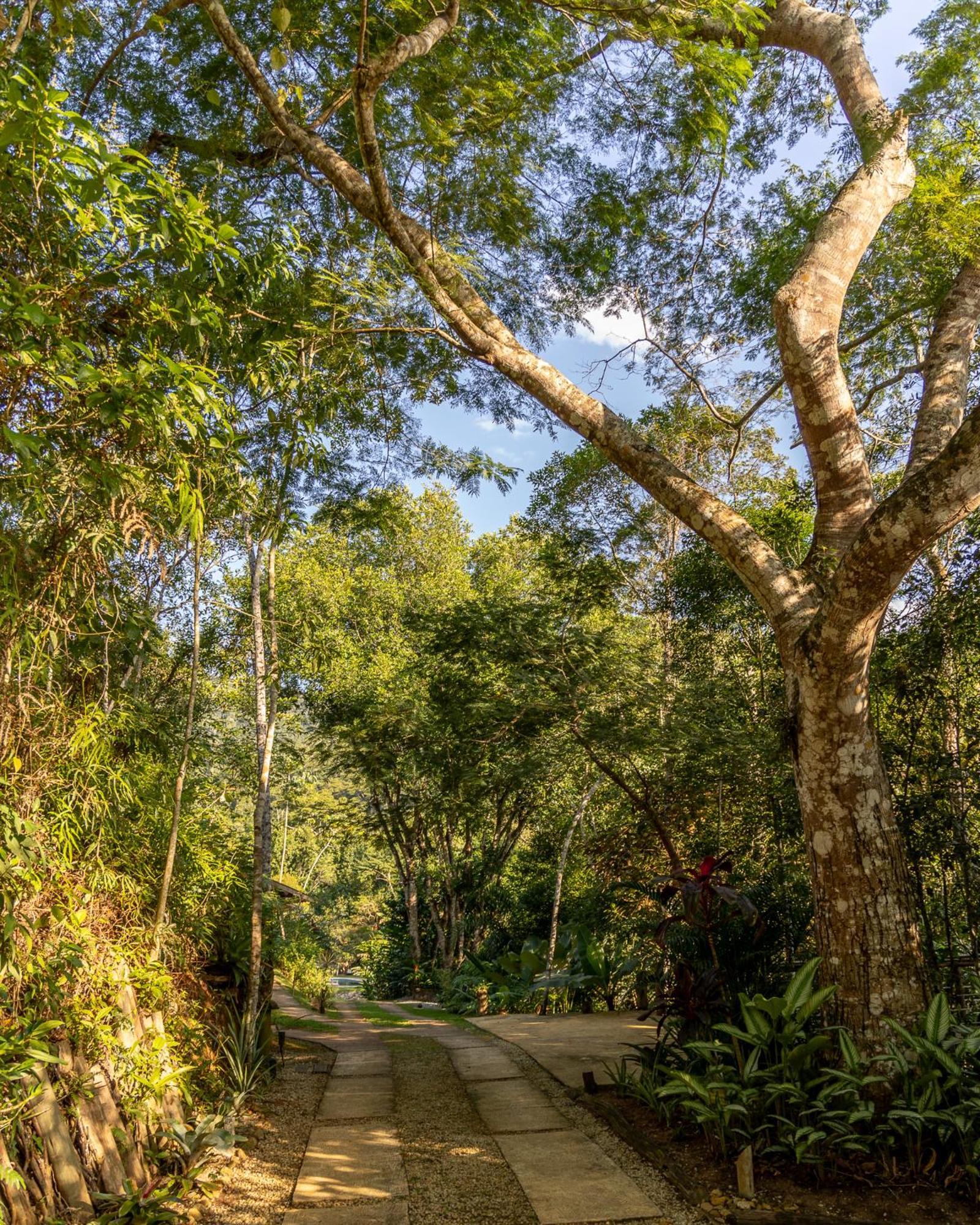 La Luciole Ecolodge Araquari Dış mekan fotoğraf